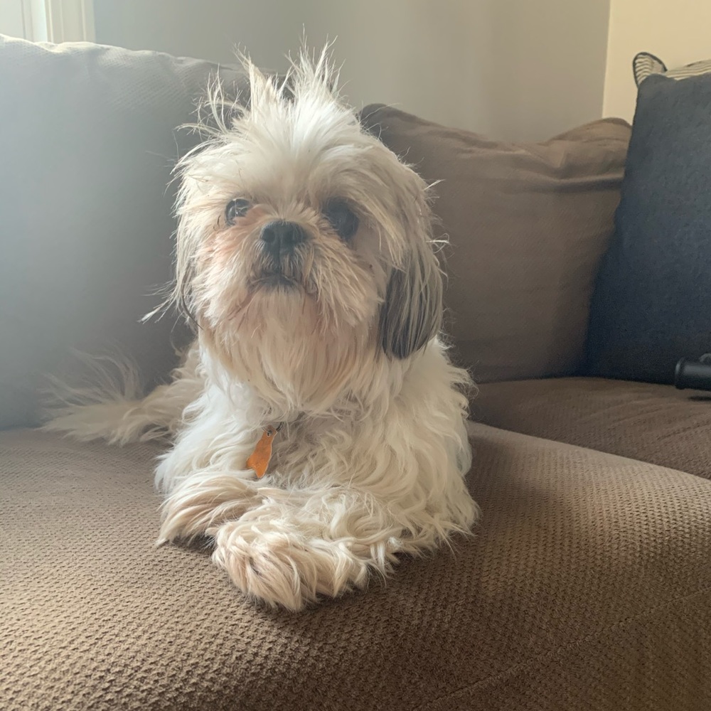 Meet your Posher, Stacy